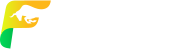Finowiz 